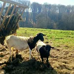 Nives, Wine Region Jeruzalem Villa